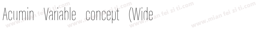 Acumin Variable concept (Wide Bold)字体转换